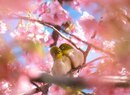 Фотография Исмаиловой Юлии