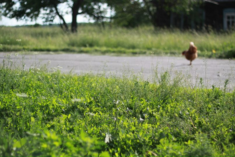 Мария Удалова | Нижний Новгород