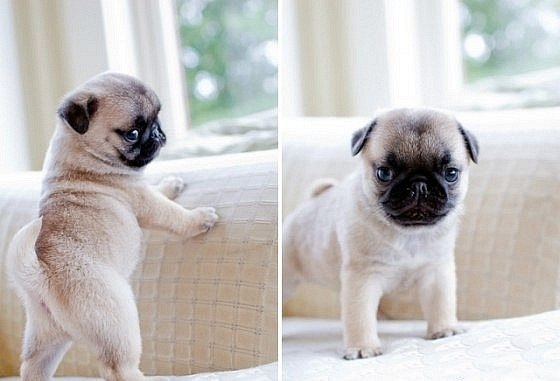 Светлана Стешова | Оленегорск