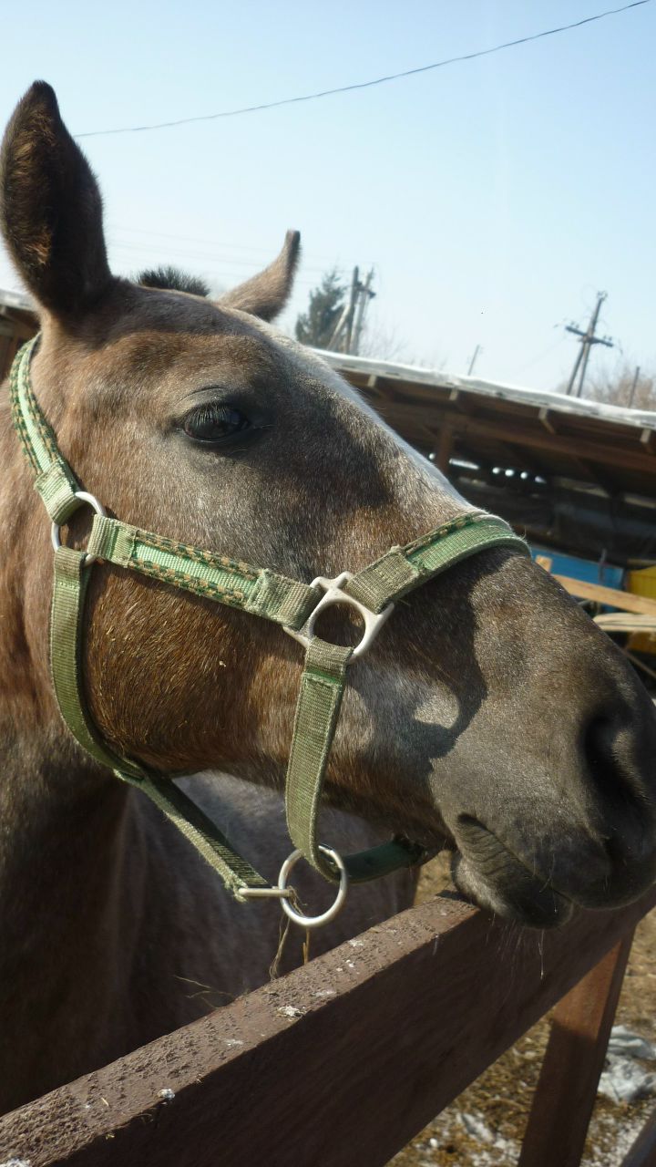 Алёна Дуванова 