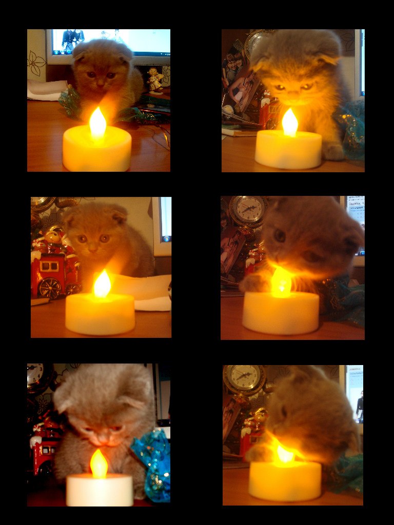 Наталья Манабаева | Томск