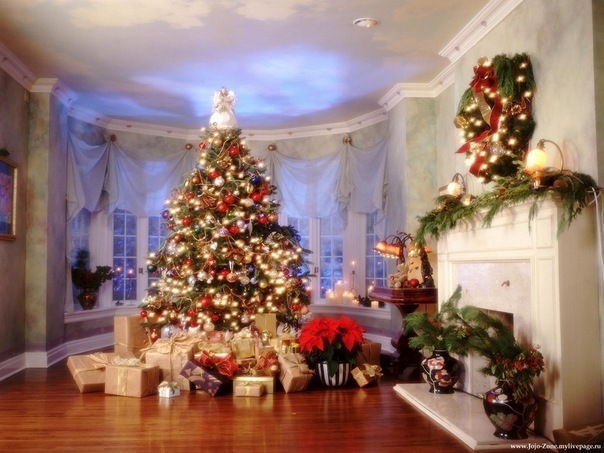 №2, Анастасия Михнюк, 25.10.1989, Донецк №2, Анастасия Михнюк, 25.10.1989, Донецк