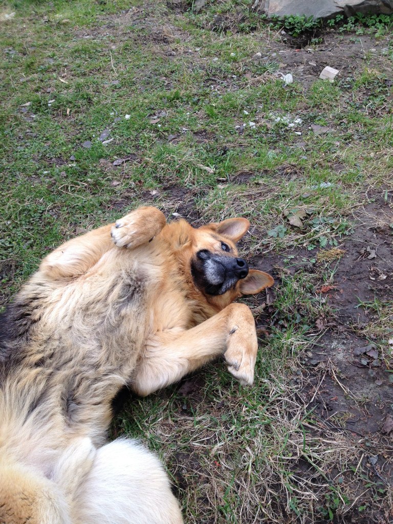 Стас Лопатинский | Иерусалим