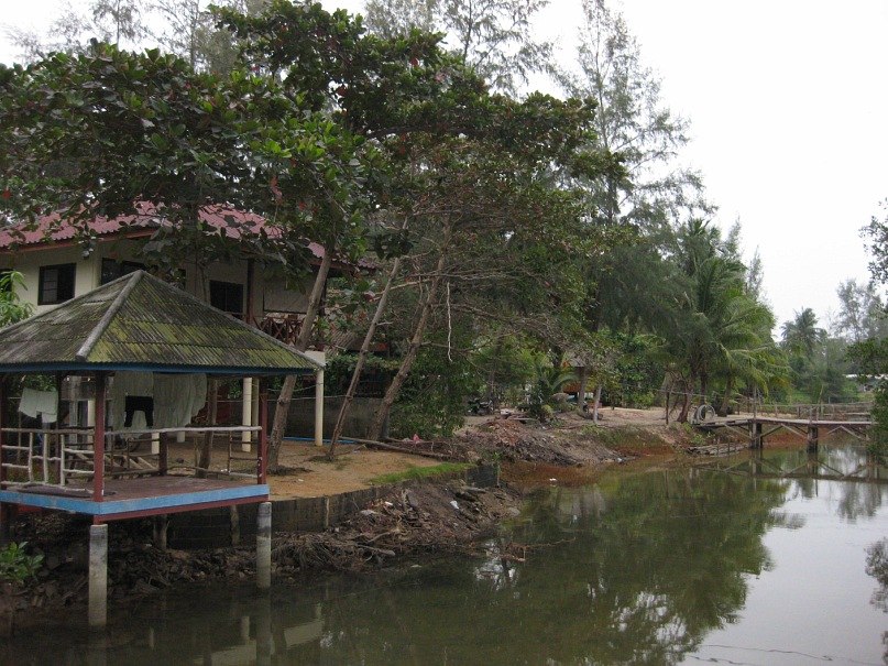 Феофана Ромашкина | Санкт-Петербург