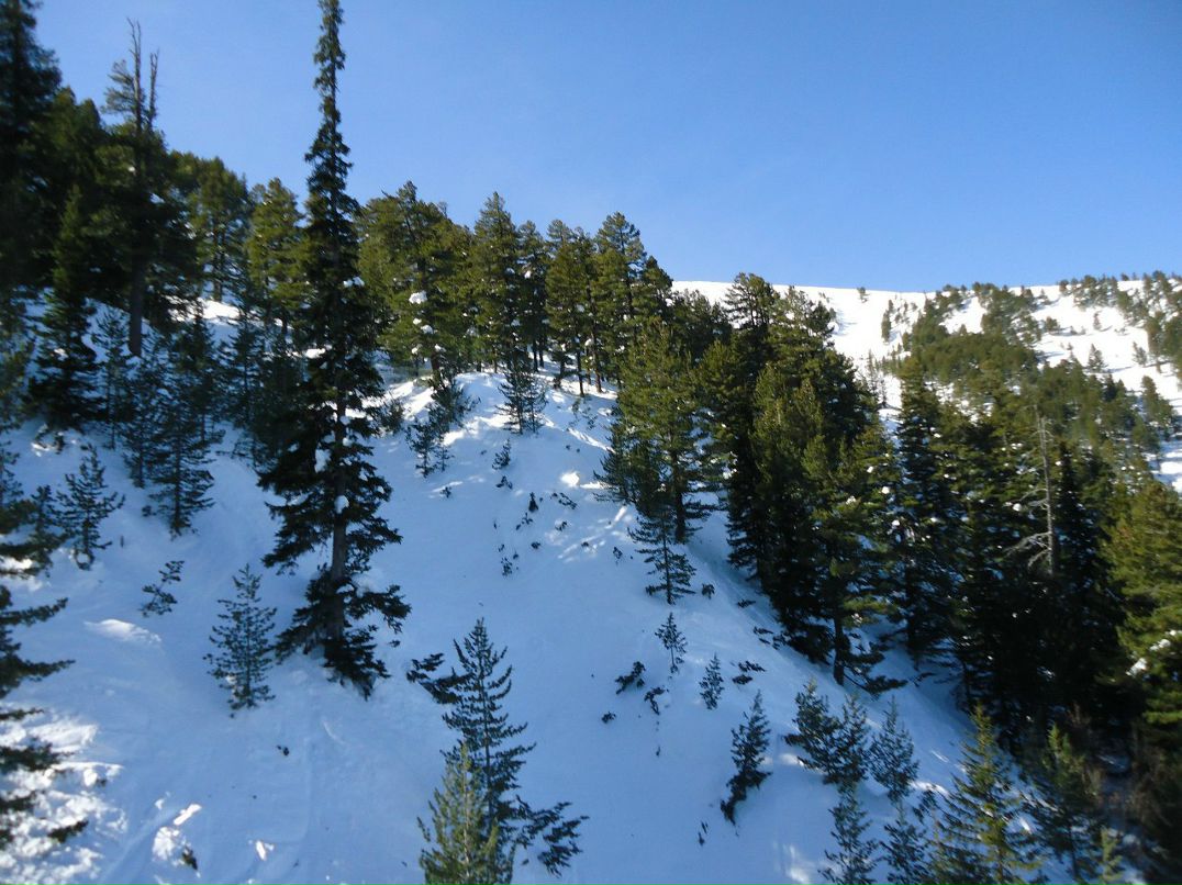 Сергей Дубинин | Тула