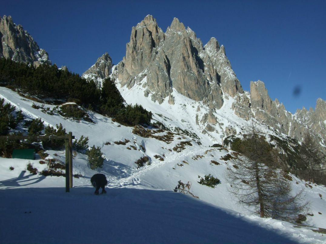 Эльвира Березанцева | Москва