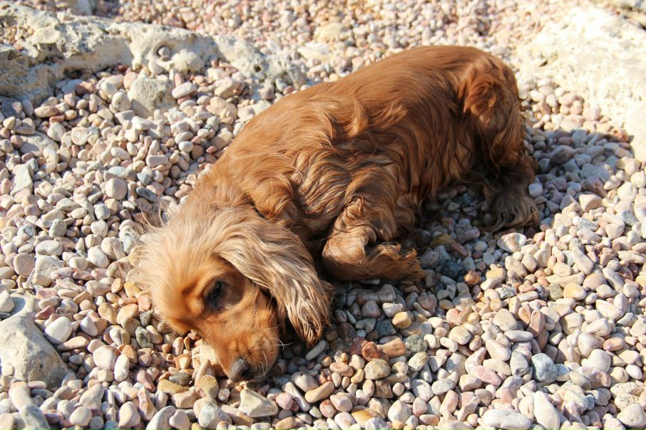 №85, Алла Красуцкая, Севастополь №85, Алла Красуцкая, Севастополь