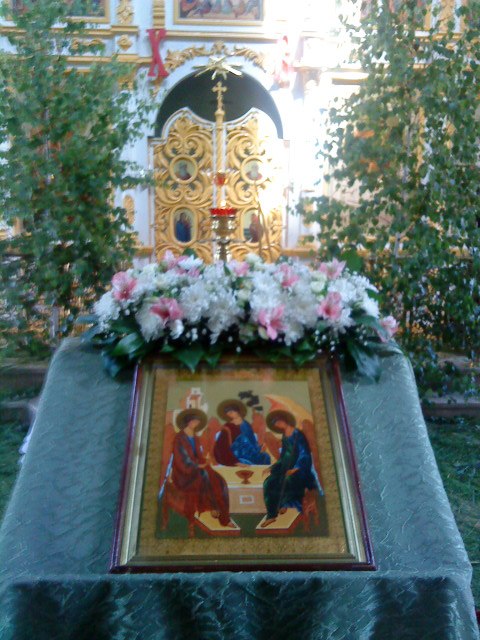 Юлия Кортунова | Воронеж