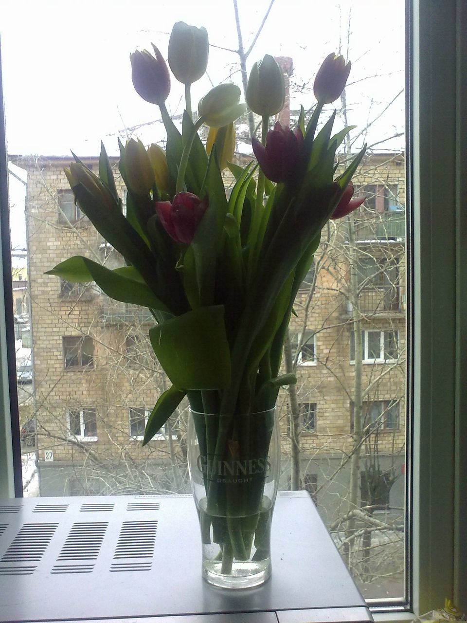 Алла Власова | Петрозаводск