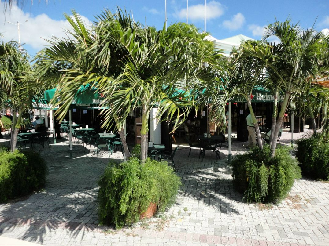 Наталя Жеребна | Львов