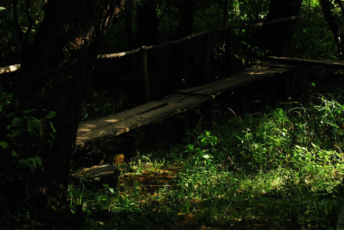 Варвара Колесник Demoni | Ростов-на-Дону