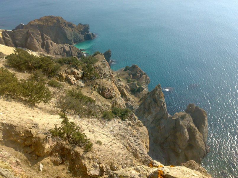 №140, Тихон Синицын №140, Тихон Синицын