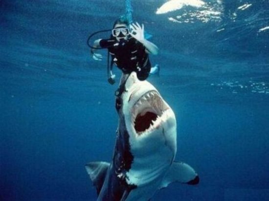 Юрий Скворцов | Севастополь