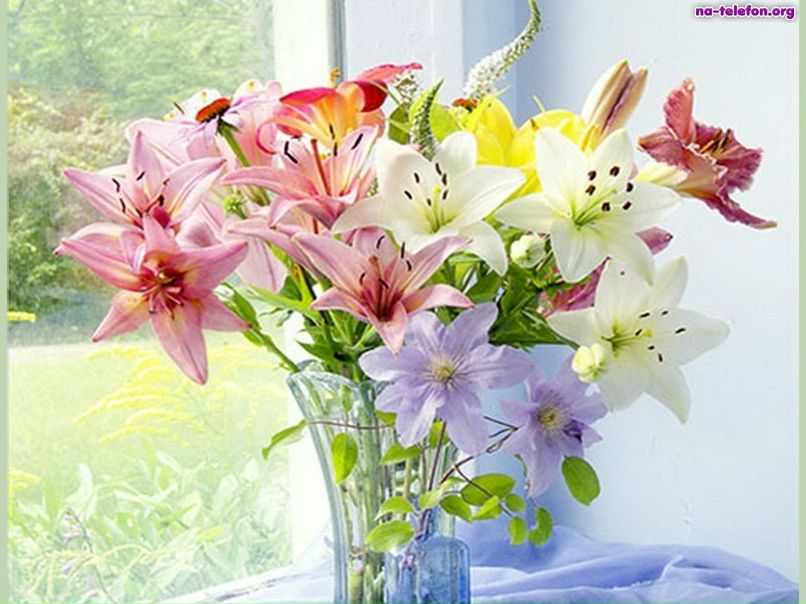 Марта Сторожко | Тернополь