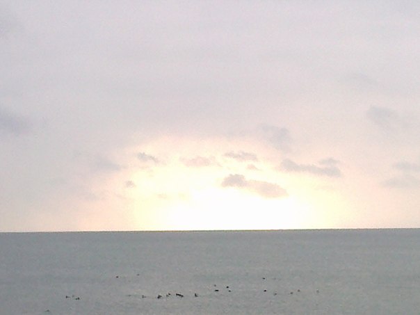 №17, Лёша Воронецкий №17, Лёша Воронецкий