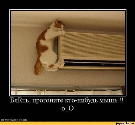 Алёна Замышляева | Луна