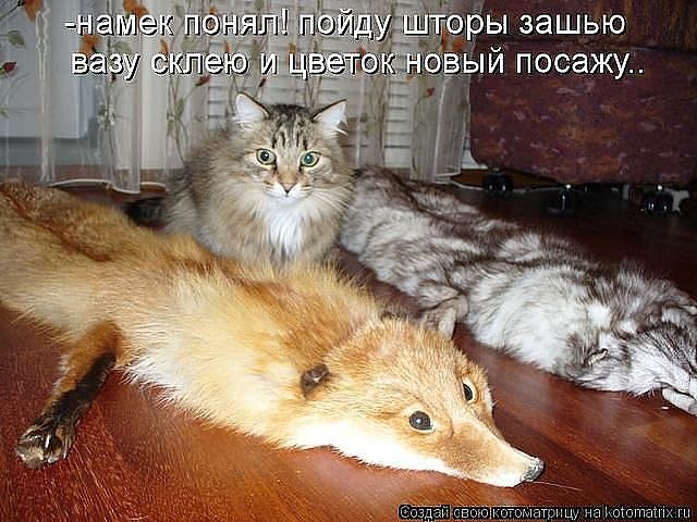 Алёна Замышляева | Луна