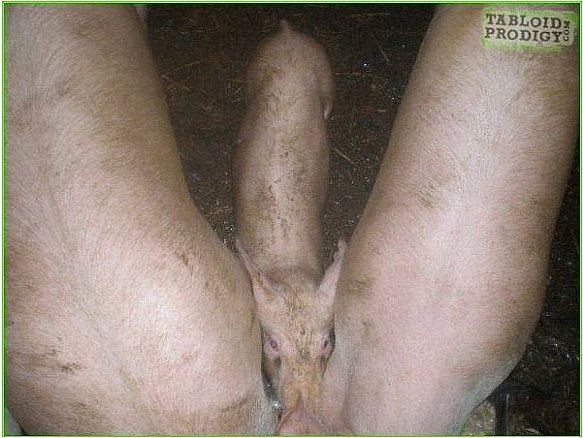 Дмитрий Муромкин | Тверь