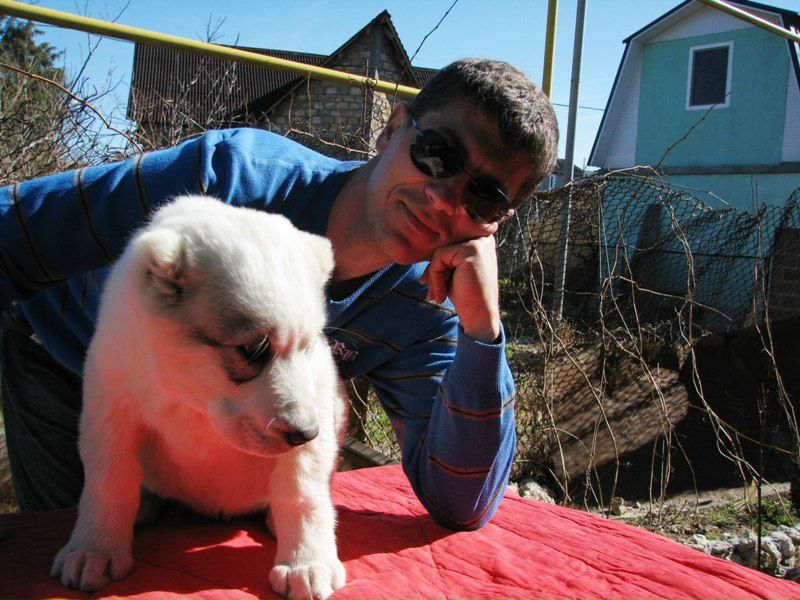 №68, Руслан Гордеев, Львов №68, Руслан Гордеев, Львов