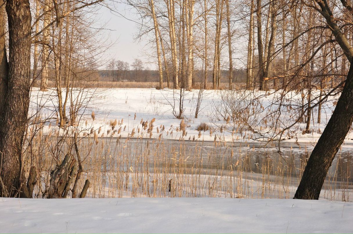 Ирина Войт | Старый Оскол