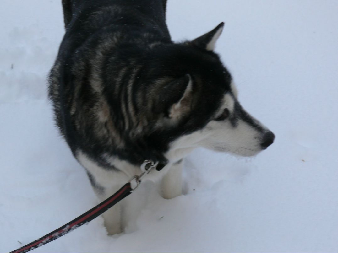Екатерина Виноградова | Петрозаводск