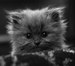 Екатерина Бубнова фотография #43