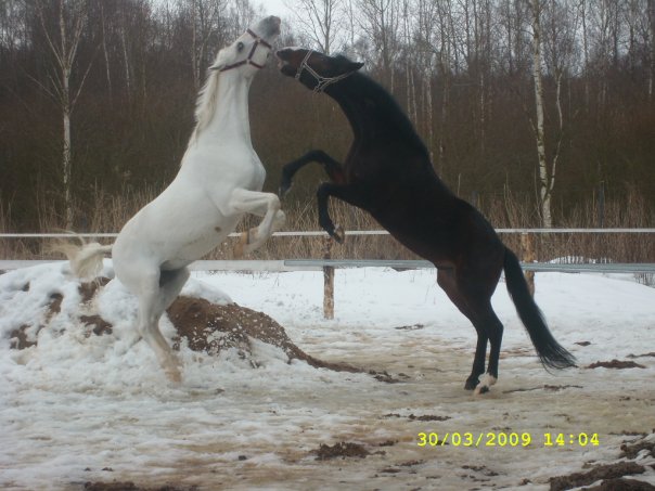 №77, Андрей Латышев, Санкт-Петербург №77, Андрей Латышев, Санкт-Петербург