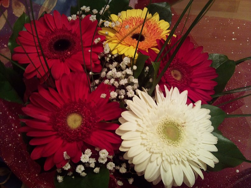 Анна Моисеева | Москва