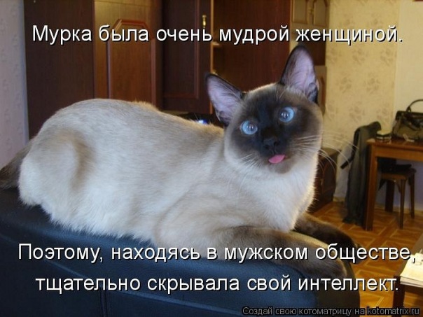 №103, Ольга Докучаева, Москва №103, Ольга Докучаева, Москва