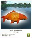 Фотография Злой Гений