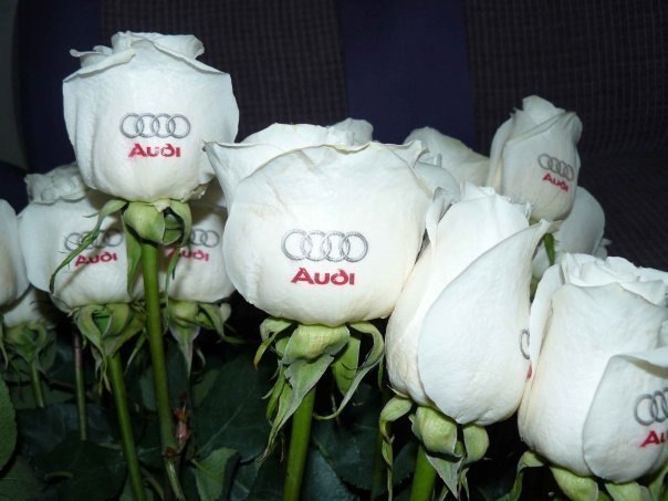 Саша Белов | Минск