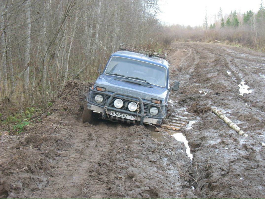 Роман Эбельс | Санкт-Петербург