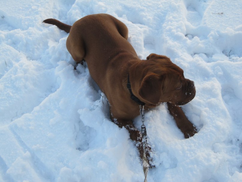 Екатерина Иванова | Санкт-Петербург