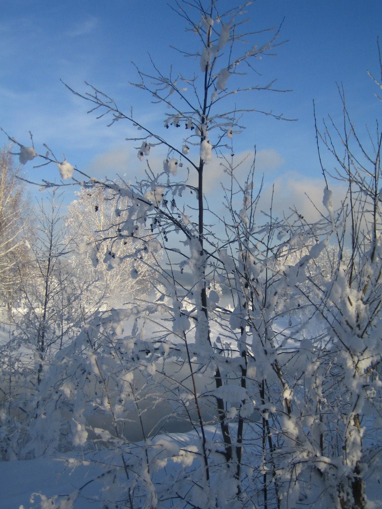 Татьяна Мелкозерова | Екатеринбург