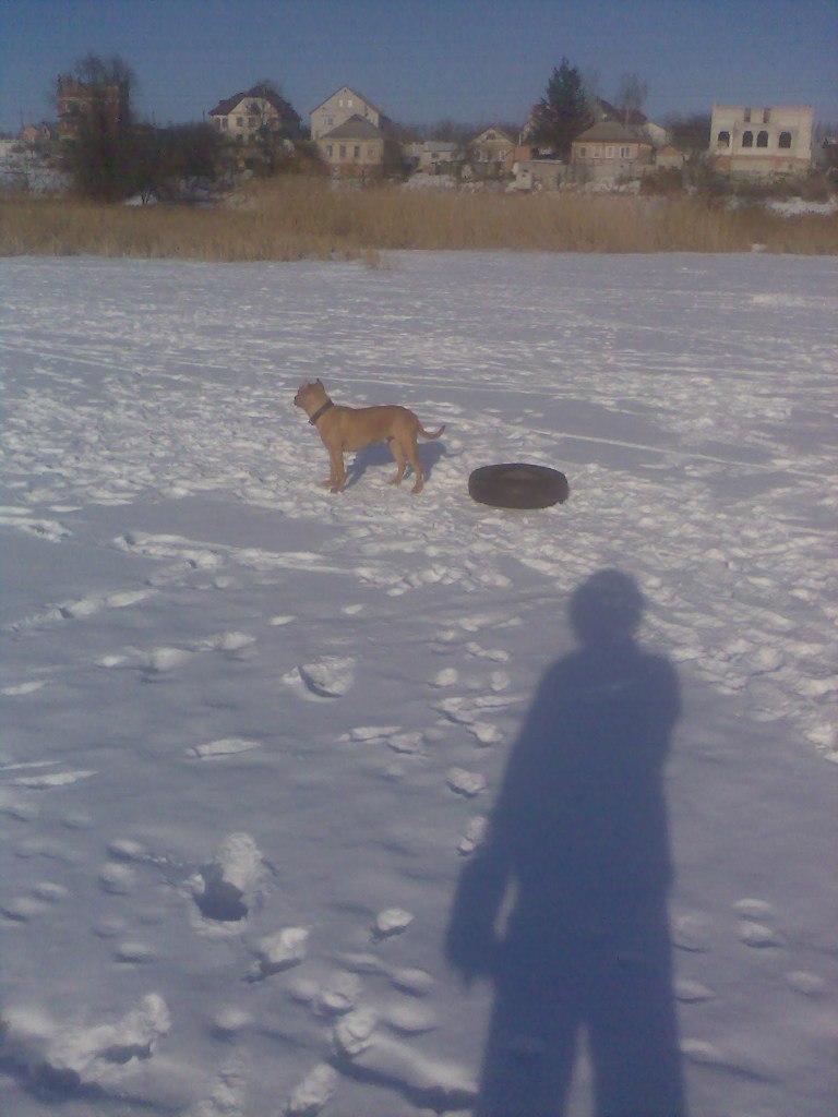 Слава Манжос | Харьков