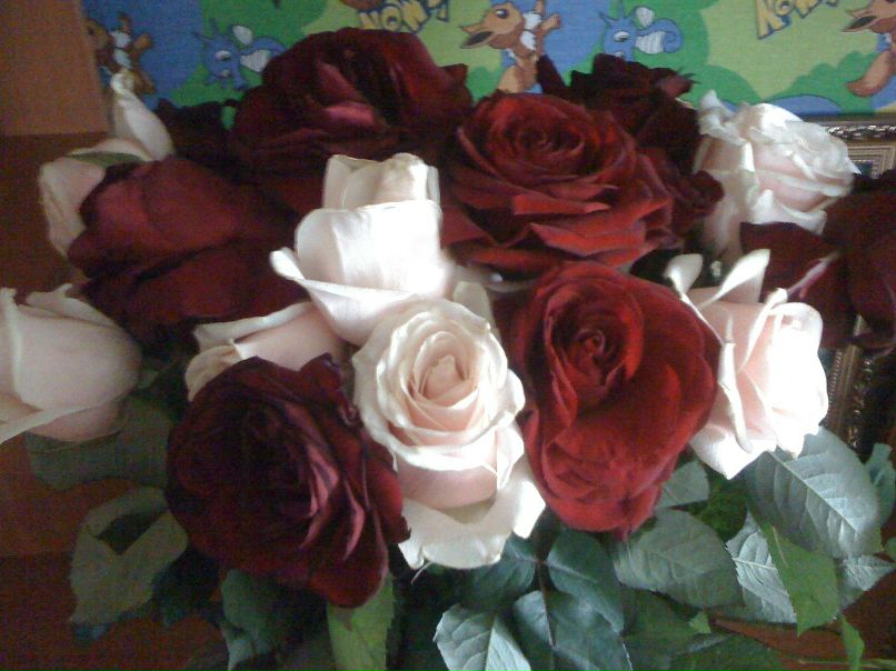 Aygul Ibragimova Albert kyzy | Казань