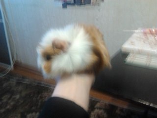 №91, Александр Бых, Северодвинск №91, Александр Бых, Северодвинск