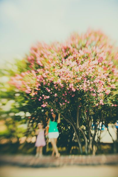 №101, Павел Ветер, Санкт-Петербург №101, Павел Ветер, Санкт-Петербург