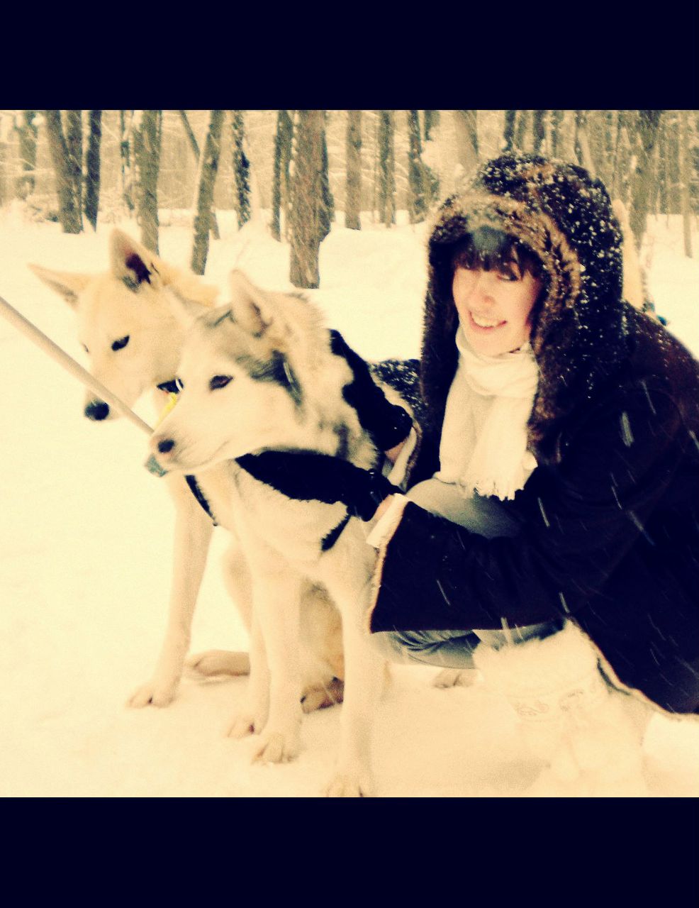 Вероника Гудова ^маленький АНГЕЛ^ | Москва