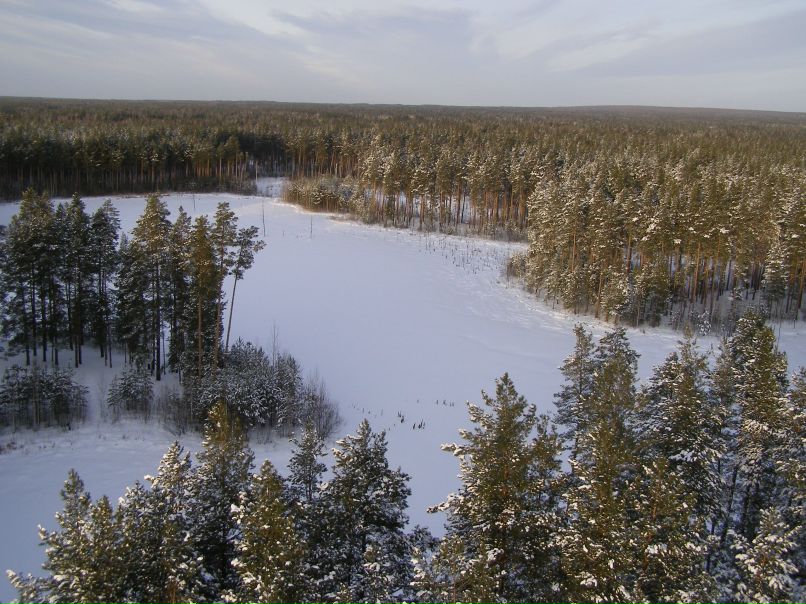 Алексей Друзин | Алатырь