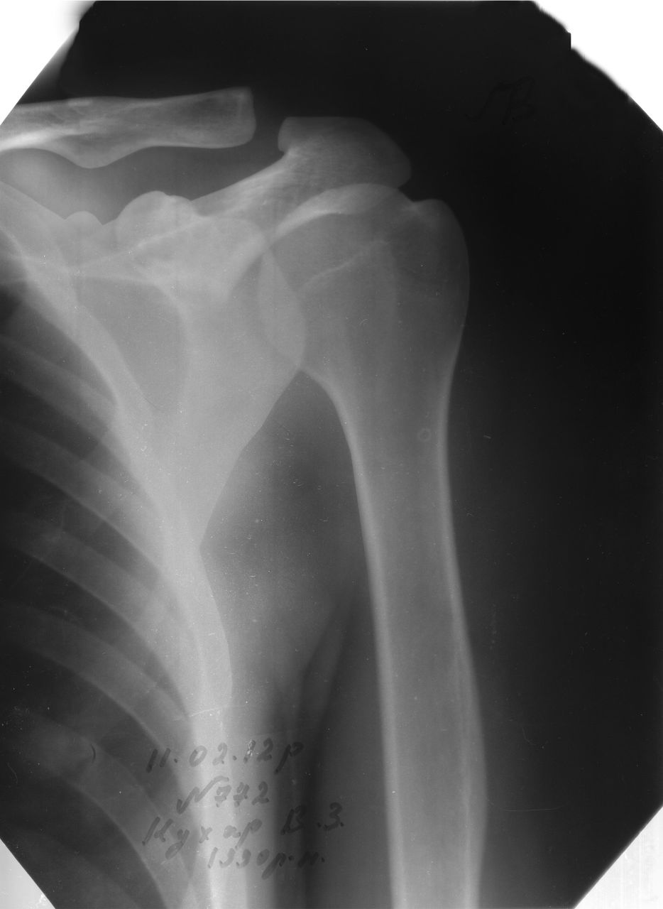 Ximik Skater Piano - | Жидачов