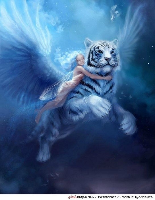 Наталия Коржова | Коломна