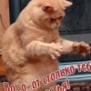 Аватар: Андрей Савино