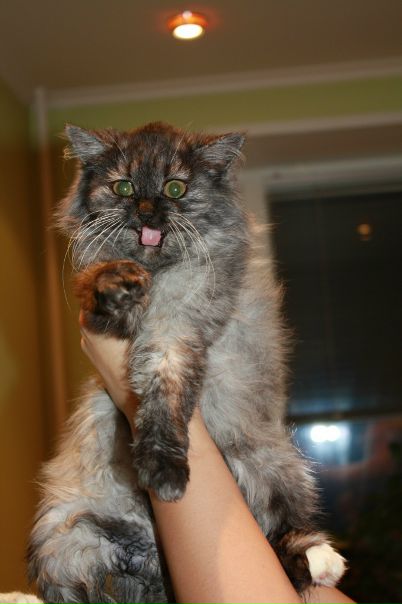 №18, Надя Солнце, Москва №18, Надя Солнце, Москва