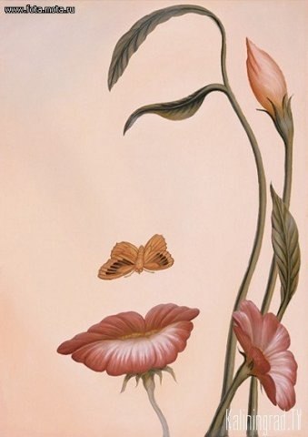 Алия Закирова | 