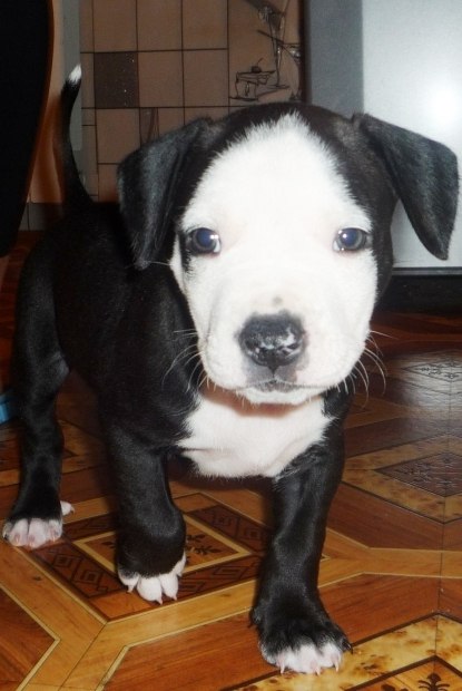 Марина Васильева | Ярославль