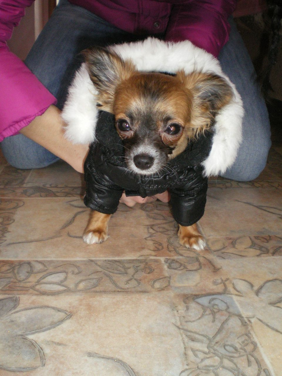 Ксения Бахова | Вологда