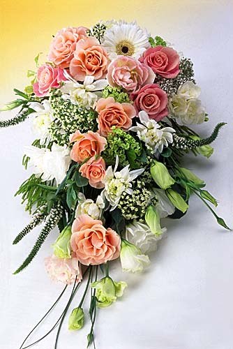 Андрей Карчевский | Тверь