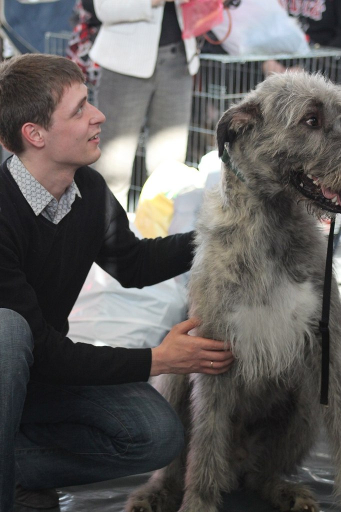 Егор Смолдырев | Иннополис