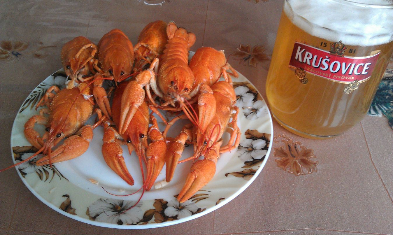 Лёха Первухин Claro | Москва